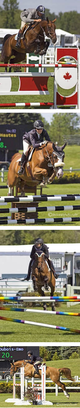 Thumbnail for Teran is Tops in Jump Canada Young Horse Series