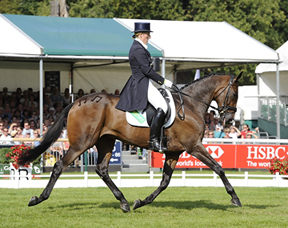Thumbnail for Edge has the upper hand after Dressage at Burghley
