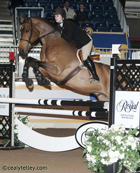 Thumbnail for Rachel Schnurr Wins Running Fox CET Medal Final at Royal Horse Show