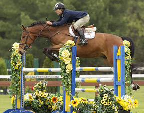 Thumbnail for Success for Danimax Farm in the Young Horse Series at Blainville