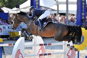 Thumbnail for FEI World Jumping Championships for Young Horses