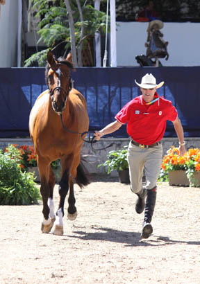 Thumbnail for Canadian Show Jumping Team Set to Compete at Pan Am Games