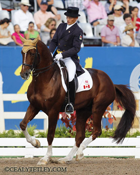 Thumbnail for Canadians Make the Top Ten in Pan Am Individual Dressage Final