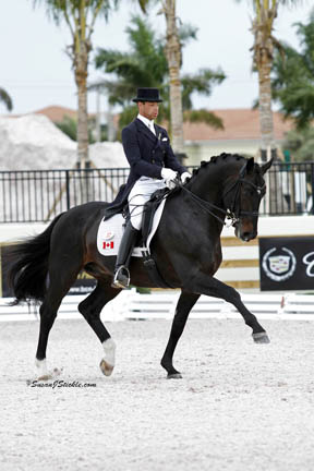 Thumbnail for New Canadian David Marcus is Making his Mark in Dressage