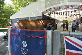 Thumbnail for First Olympic horses arrive at Greenwich Park