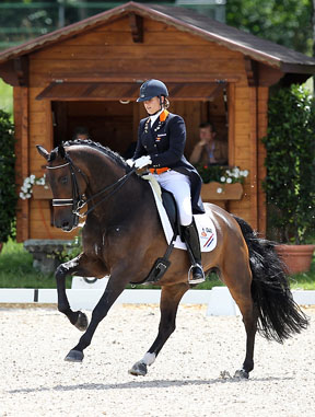 Thumbnail for FEI European Dressage Championships for Young Riders and Juniors