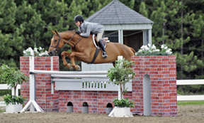 Thumbnail for World Class Horses Compete at Canadian Show Jumping Tournament