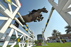 Thumbnail for 2013 Dubai Showjumping Championship
