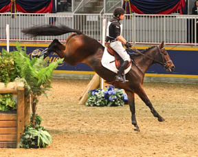 Thumbnail for Horseware Indoor Eventing and Greenhawk Canadian Cup Champs Crowned