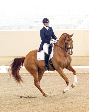 Leslie Reid aboard Fine and Smart at the CDI-W world cup qualifier held at the Los Angeles Equestrian Center in Burbank California. Photo by Terri Miller Photos