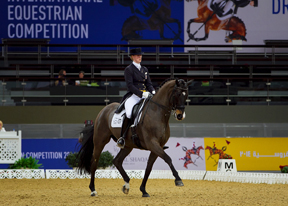 Thumbnail for Digby Rules Dressage in Doha
