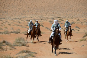 Competitors race across the desert in the Gallops of Oman. Photo by Christophe Bricot