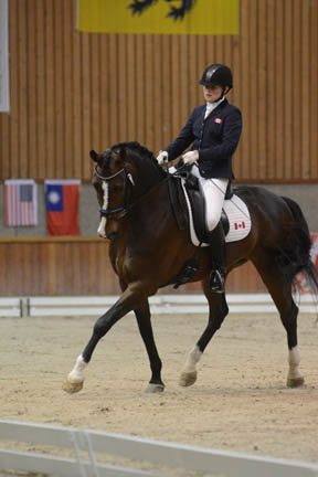Roberta Sheffield was just 0.5% out of first to finish in second place in the Grade III Freestyle with Bindro T.