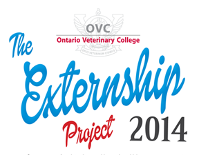Thumbnail for OVC’s 2014 Externship Project