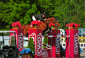 Hugh Graham and Airborne won the $40,000 FEI Grand Stakes Class at Angelstone Farms.