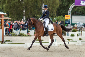 Lucinda Fredericks (AUS) and Flying Finish, leaders after the Dressage phase at Luhmühlen (GER) this weekend, the fifth leg of the FEI Classics™ series. Photo: Hanna Broms/FEI.