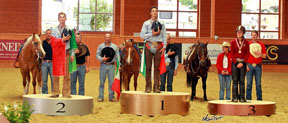 Thumbnail for 2104 FEI European Reining Championships for Juniors and Young Riders