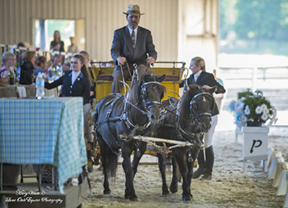 Dinner was delivered to guests by pony-drawn carriage at the ‘Dressage Soiree’ fundraising event held June 21 at the CDI3* Equivents in Cedar Valley, ON. Almost $10,000 was raised in support of the Canadian Dressage Athlete Assistant Program (C-DAAP). Photo by Mary White, Lone Oak Equine Photography