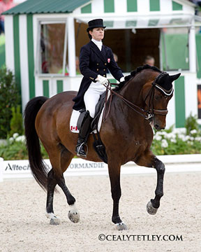 The Canadian Dressage Team's anchor rider, Belinda Trussell of Stouffville, ON is part of the top 30 invited to move forward to the Grand Prix Special on August 27 at the Alltech FEI World Equestrian Games 2014 in Normandy, FRA. Riding Anton, she placed 26th individually. Photo by Cealy Tetley