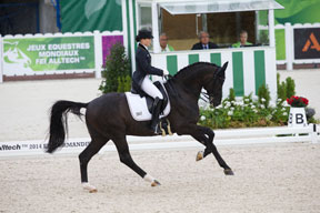 Thumbnail for WEG Dressage: Germany Leads the Way