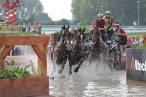 Germany’s Christoph Sandmann was the fastest in the Driving marathon of the Alltech FEI World Equestrian Games™ 2014 in Normandy. Photo by Marie de Ronde-Oudemans/FEI