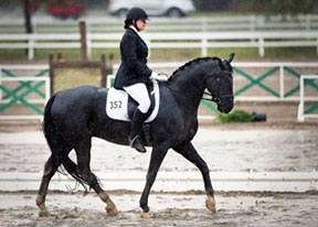 Juliette C. Barolet and Docaprio L at the 2014 CIEC in Blainville, QC. Photo by Eve-Lyne Ouellet Photography