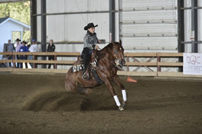 Geneviève Côté and Captain Whizy Jack at the 2014 CIEC in Blainville, QC. Photo by Dieter Wahr Equine Photography 