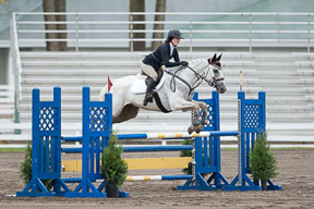 Paige Hodson and Run Forest Run at the 2014 CIEC in Blainville, QC. Photo Credit: Eve-Lyne Ouellet Photography 