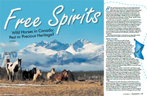 Thumbnail for Horse-Canada Article Wins OEF Media Award