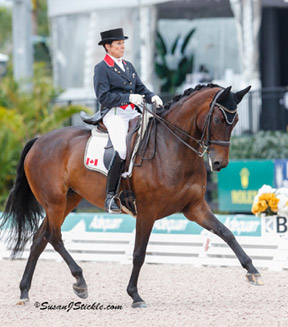 Thumbnail for Dressage Canada and C-DAAP Invite You to ‘A Royal Canadian Evening’