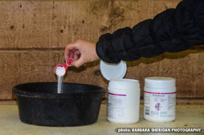 Improper use of some commonly administered equine drugs can impact the health and safety of our horses. Photo by Barbara Sheridan