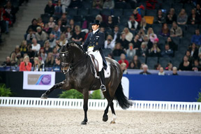 Sweden’s Tinne Vilhelmson-Silfven and Don Auriello stepping it out in style on their way to victory in today’s fourth leg of the Reem Acra FEI World Cup™ Dressage 2014/2015 Western European League series at Stockholm (SWE). Photo by FEI/Roland Thunholm