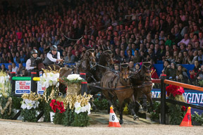 The Netherlands’ Koos de Ronde and his four-in-hand on their way to victory in the last FEI World Cup™ Driving qualifier of the 2014/15 season. Photo by Karl Heinz Frieler/FEI