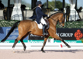 Thumbnail for Jill Irving Takes Third in FEI Grand Prix Special CDI 5* at AGDF
