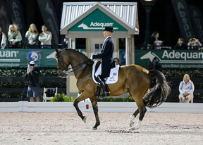 Thumbnail for Lars Petersen Wins Another “Friday Night Stars” FEI Grand Prix Freestyle
