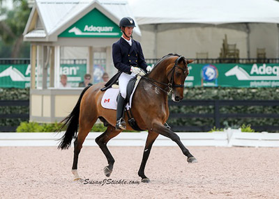 Chris Von Martels and Zilverstar were second in the FEI Intermediaire 1 CDIO3*. Photo by SusanJStickle.com