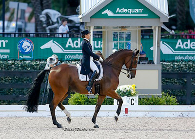 Tinne Vilhelmson-Silfven and Divertimento won the FEI Grand Prix Special at AGDF 9. Photo by SusanJStickle.com