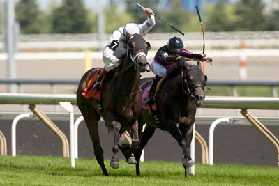 Jockey Luis Contreras Hollywood Hideaway (#8) to victory in the $125,000 Victoria Stakes at Woodbine. Photo by Michael Burns Photography