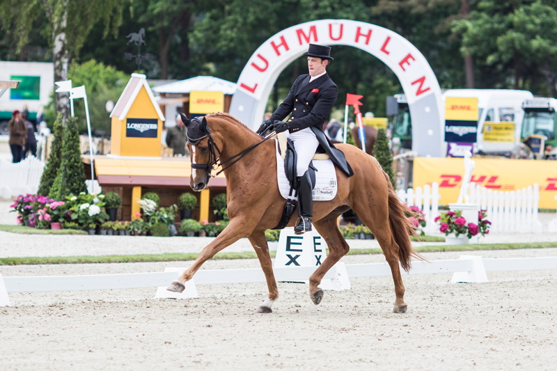 Julien Despontin (BEL) and Waldano 36, who lead a distinguished field after Dressage at Luhmühlen (GER), fifth leg of the FEI Classics™ 2014/2015. Photo by Hanna Broms/FEI