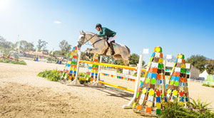 Marcio Jorge (BRA) and Coronel MCJ on their way to a flawless Jumping round to claim gold at the Aquece Rio International Horse Trials, the test event held at the Deodoro Olympic Equestrian Centre. Photo by FEI/Raphael Macek