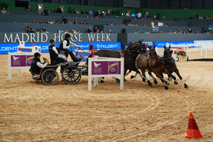 Australia’s Boyd Exell claimed his second win in a row with victory at the inaugural edition of FEI World Cup™ Driving in Madrid (ESP).Photo by FEI/Hervé Bonnaud