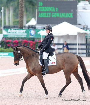 Ashley Gowanlock of Surrey, BC was part of the Canadian contingent who kicked off the 2016 season at the CPEDI 3*, held Jan. 8-10 in Wellington, FL. Gowanlock’s performances were highlighted by a win in the Grade 1b Freestyle aboard Ferdonia 2. Photo by Susan J. Stickle