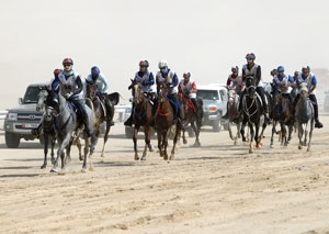 Emirates Equestrian Federation photo