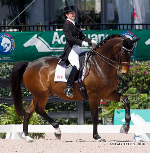 Canadian Olympian Belinda Trussell of Stouffville, ON broke personal best and Canadian records aboard Anton during week eight of the Adequan Global Dressage Festival (AGDF), held March 2-6, 2016 in Wellington, FL. Photo by Cealy Tetley