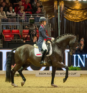 Thumbnail for Olympic Champion Uthopia to Be Sold with No Reserve