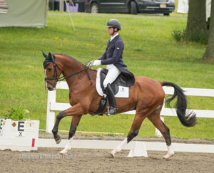 William Coleman and Off the Record lead the CIC2* following Dressage at Jersey Fresh International Three Day Event. Photo by Shannon Brinkman