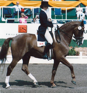 Dressage Canada (DC) is pleased to name Gina Smith as the DC Volunteer of the Month for April. Pictured at the 1986 World Championships aboard Malte, Smith has been involved in the dressage community as a high performance athlete, coach, chef d’équipe, and dedicated volunteer for many years. Photo by Courtesy of Equine Canada
