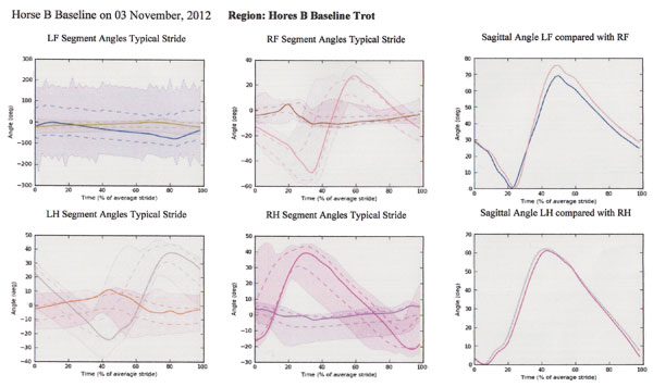 The charts above and below are printouts from the Pegasus Gait Analysis Software used in the experiment to determine the effect on various gaits with different saddles (western, fitted English, treeless and non-adjusted English saddles (Without specific comment as to what the findings represent).