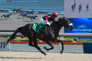 esse Campbell guides Phoenix Stable's Hot Kiss to victory in the $100,000 Trillium Stakes at Woodbine. Photo by Michael Burns Photography