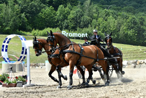 James Fairclough won the CAI2* Horse Four-in-Hand Bromont International Driving. Photo by Tom von Kapherr Photography